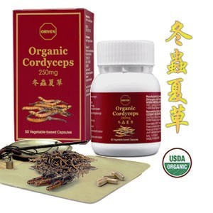 organic cordyceps for better sexual libido, sexual performance and energy